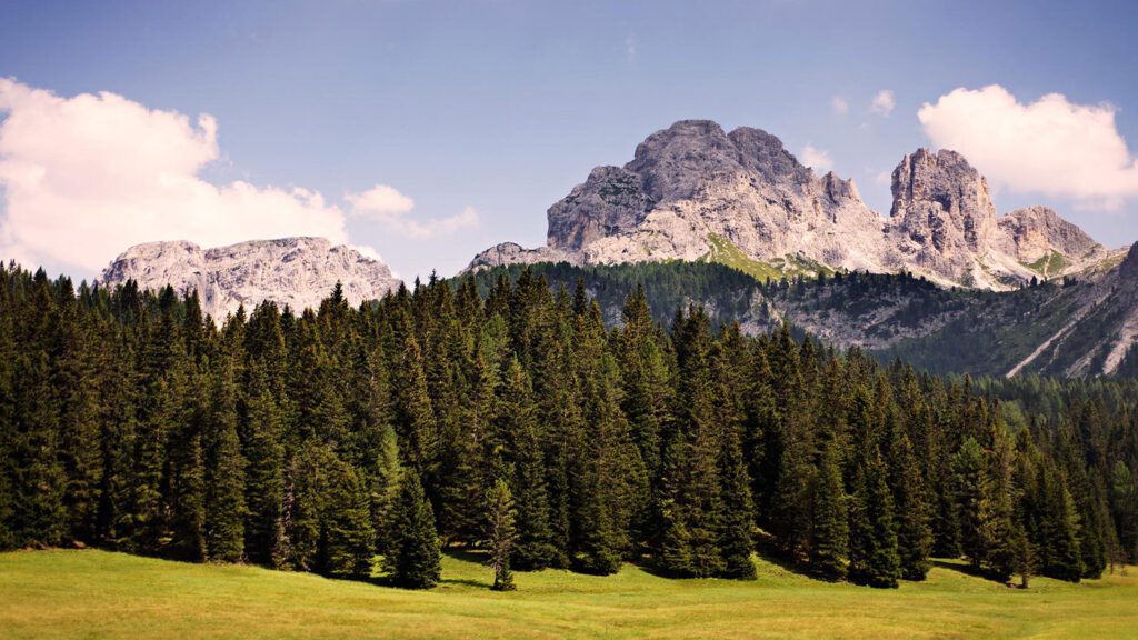 Alberi monumentali nelle Dolomiti