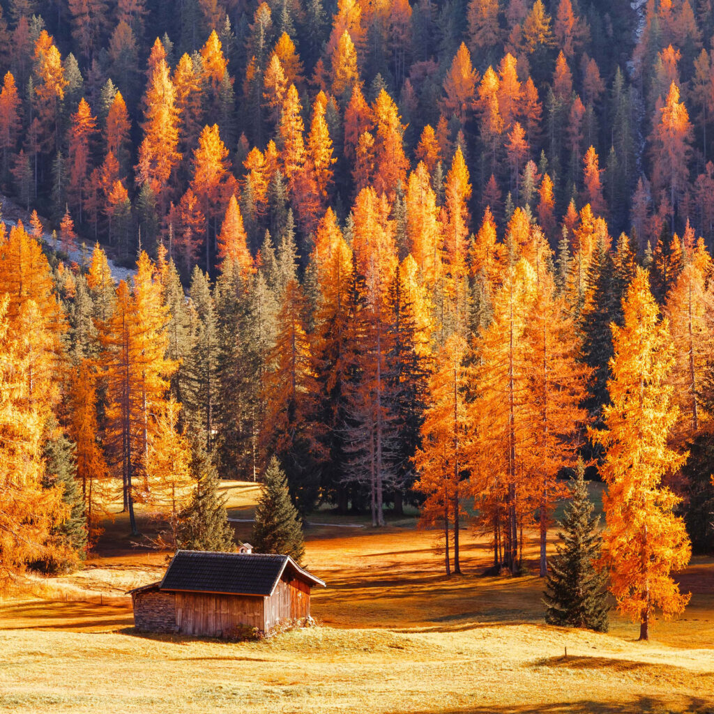 Paesaggio cangiante nelle Dolomiti in autunno